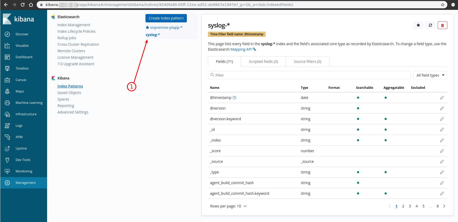 Kibana index pattern view