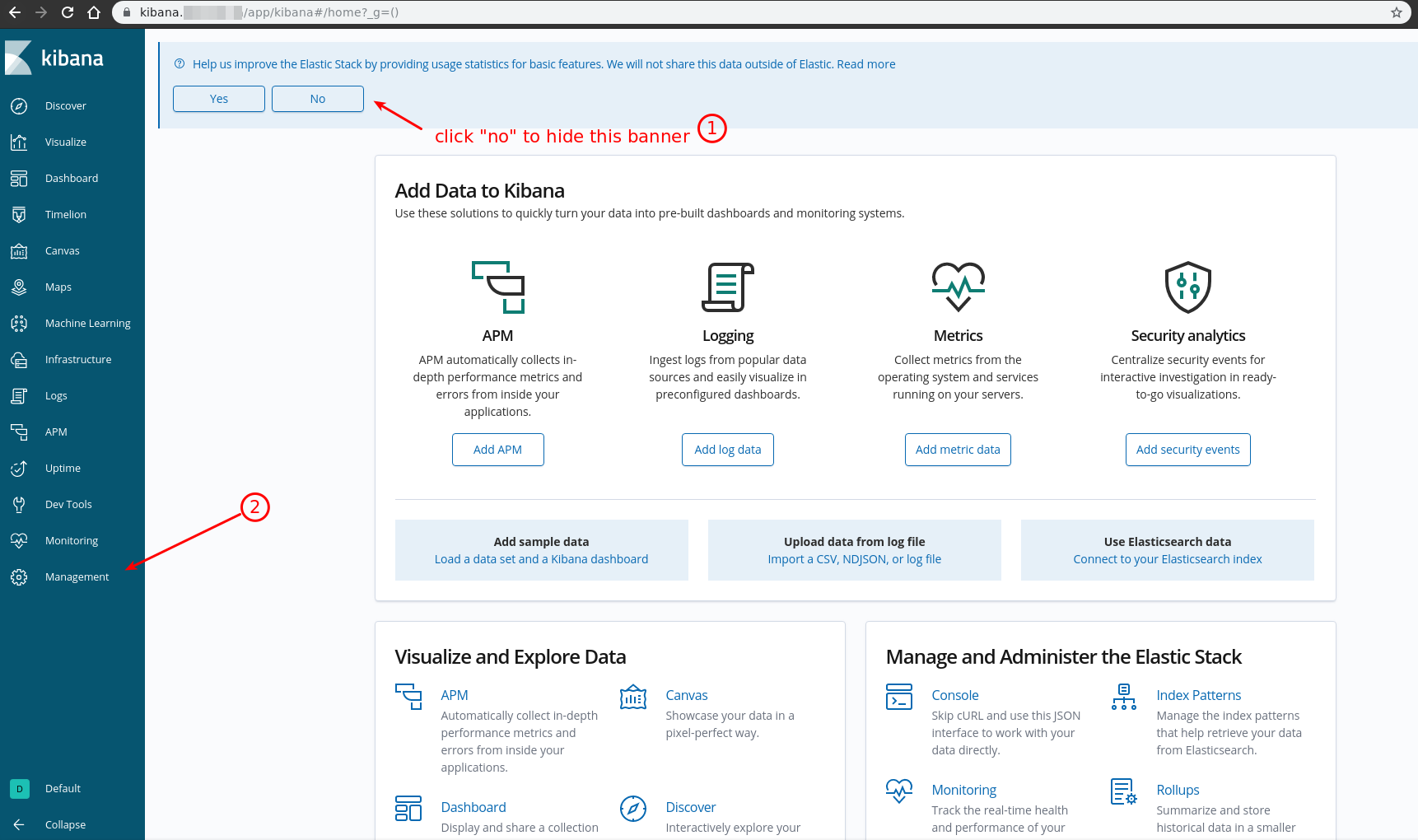 Kibana home page